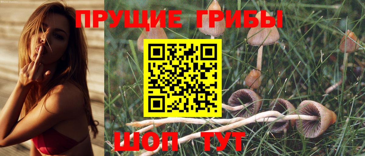 Псилоцибиновые грибы мухоморы  Вход с VPN  цена   Ростов Великий 
