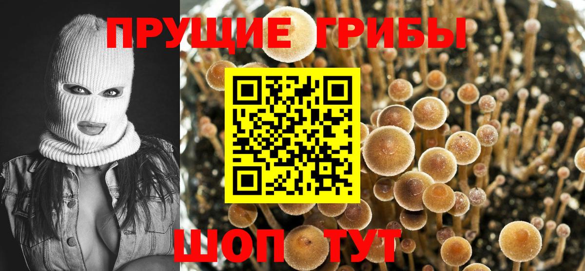 Галлюциногенные грибы ЛСД Ростов Великий
